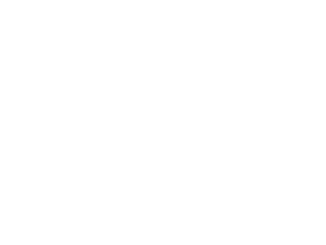 Origin logo (White color)